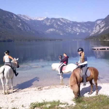 Tubej Mountain Room With Terase Bohinjska Bistrica Exterior foto